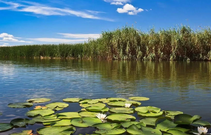 Croaziera in Delta Dunarii De la Tulcea la varsarea in mare