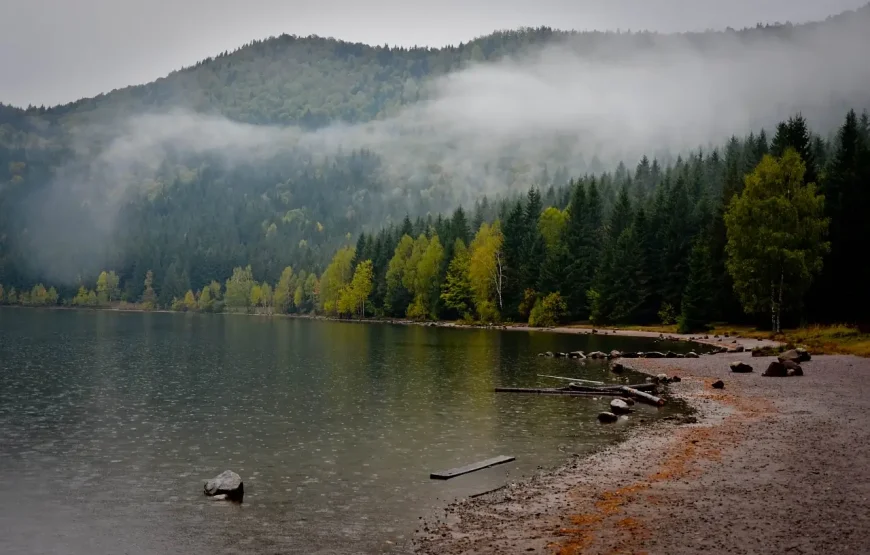 Balvanyos Relaxare Natură și Tradiție Secuiască