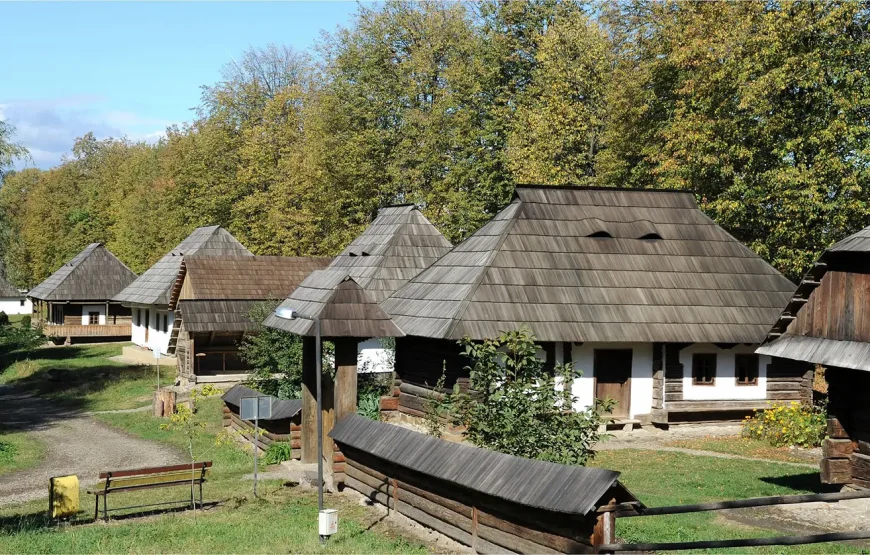 Duși cu pluta în.. Bucovina