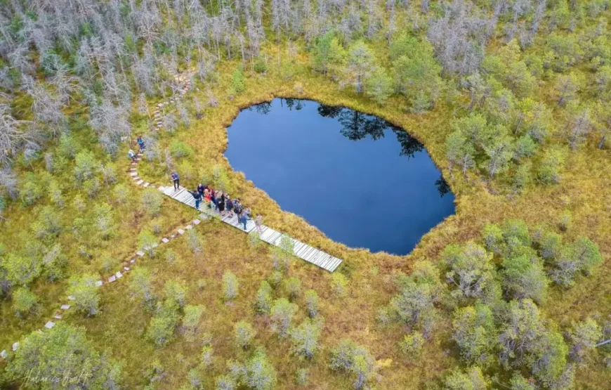 Balvanyos Relaxare Natură și Tradiție Secuiască