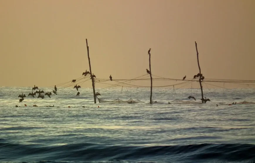 O Zi De Plajă la Năvodari