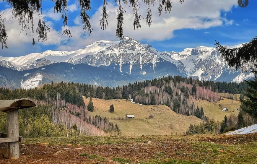 Sanius la Cheile Grădiștei