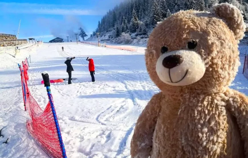 Sanius la Cheile Grădiștei