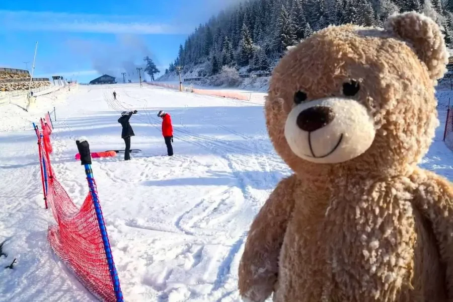 Sanius la Cheile Grădiștei