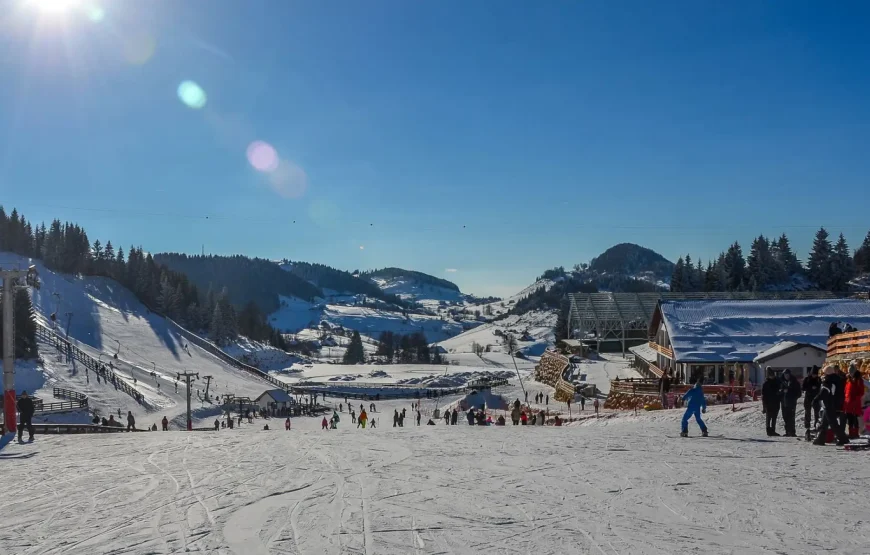 Sanius la Cheile Grădiștei