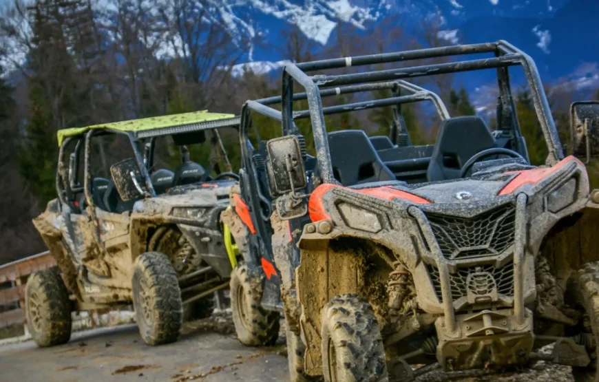 Sanius la Cheile Grădiștei