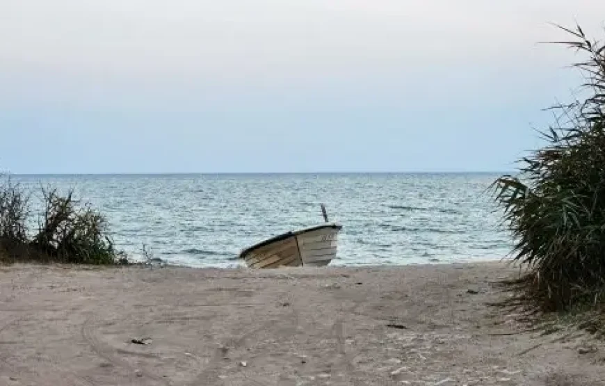  Festivalul Scrumbiei Dunărene De Florii