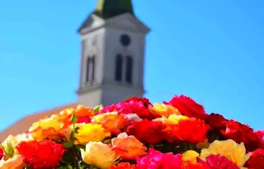 Festivalul trandafirilor de la Ciumbrud