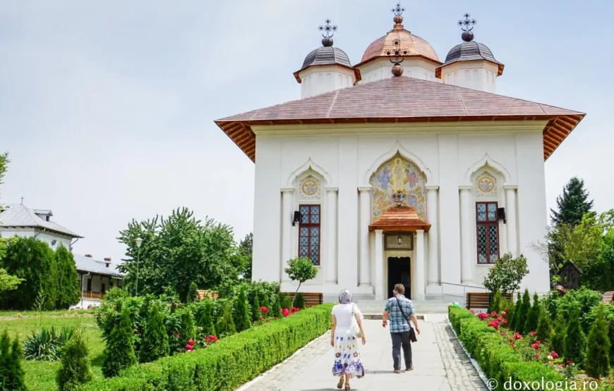 Excursie Grădina cu Lavandă Paicu