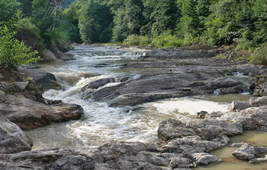 Petrecerea vânătorilor și pădurarilor din Vrancea