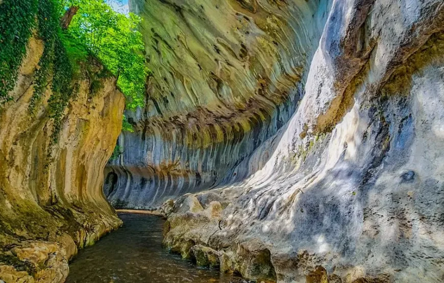 Cheile Butii Sohodolului Baniței