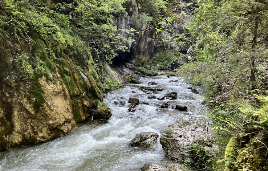 Cheile Butii Sohodolului Baniței