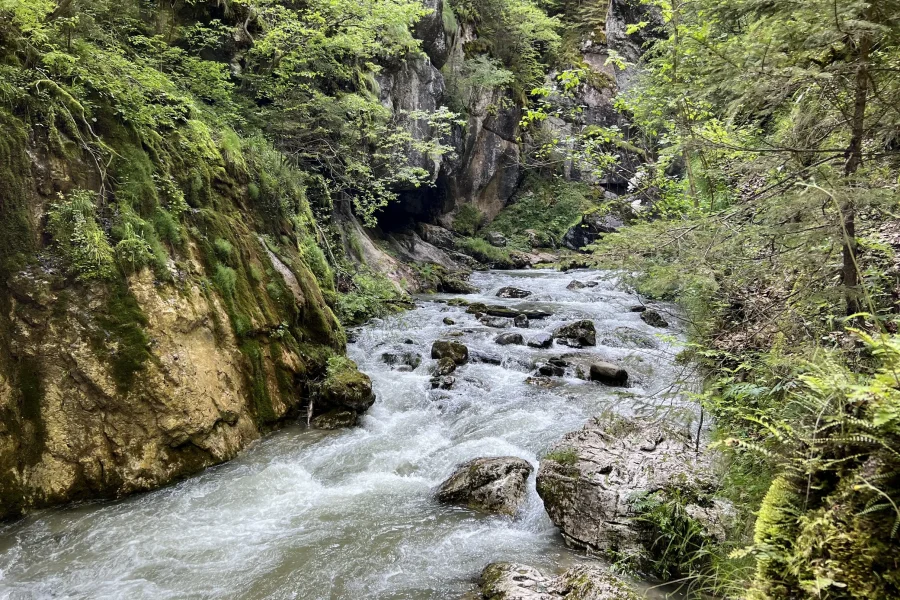 Cheile Butii Sohodolului Baniței